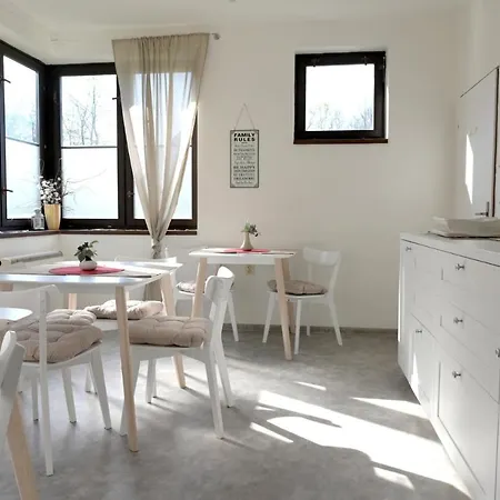 Maison d'hôtes Svycarsky Dum