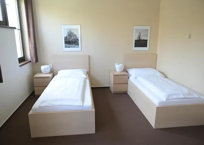 Svycarsky Dum 3* Sneznik